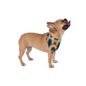 Customizable Rainbow Pet Bandana, Stylish Dog Accessory, Perfect for Pet Birthdays, Summer Outings, Treat Your Pet!